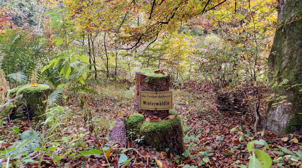 Für den Wald, in dem Manuela Grimm ihren Anastasia-Landsitz errichten will, ist das Kaufbeurer Forst- und Landwirtschaftsamt zuständig.