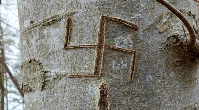 Nazi-Symbole in Wäldchen geritzt